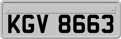 KGV8663