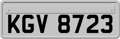 KGV8723
