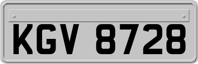 KGV8728