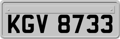 KGV8733