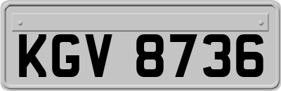 KGV8736