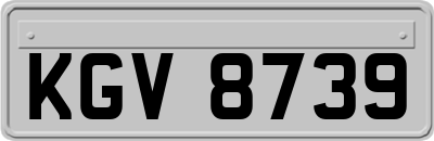 KGV8739
