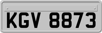 KGV8873