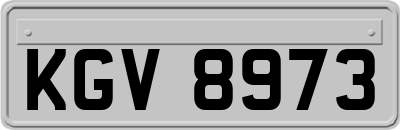 KGV8973