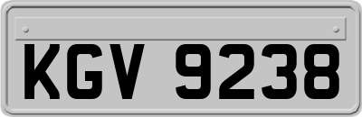 KGV9238