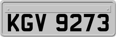 KGV9273