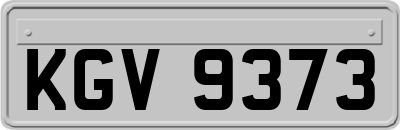 KGV9373