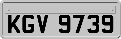 KGV9739