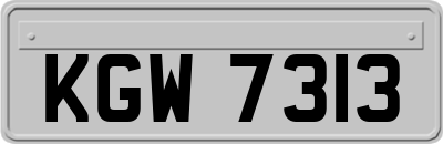 KGW7313