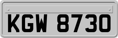 KGW8730