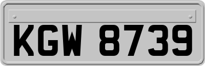 KGW8739