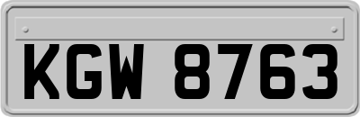 KGW8763