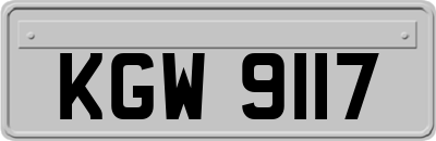 KGW9117