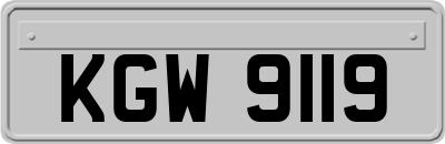 KGW9119