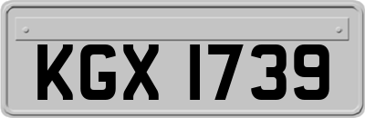 KGX1739