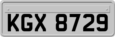 KGX8729