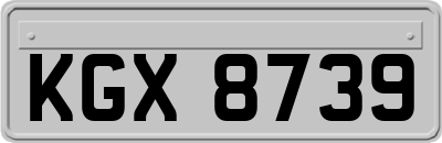 KGX8739