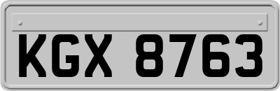 KGX8763