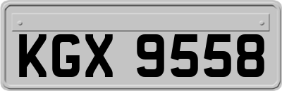 KGX9558