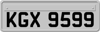 KGX9599