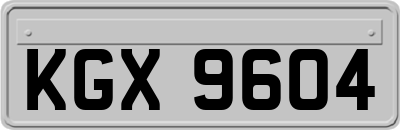 KGX9604