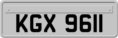 KGX9611