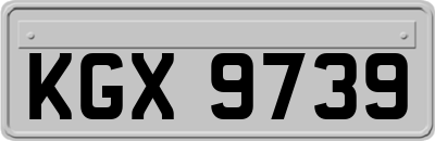 KGX9739