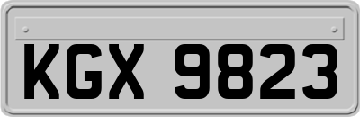 KGX9823