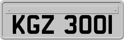 KGZ3001