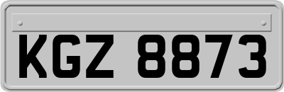 KGZ8873