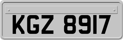 KGZ8917