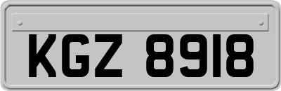 KGZ8918