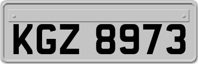 KGZ8973