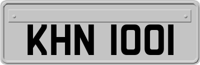 KHN1001