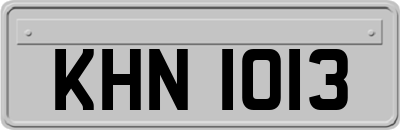KHN1013