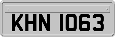 KHN1063