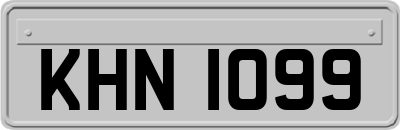 KHN1099