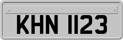 KHN1123