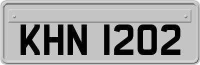 KHN1202