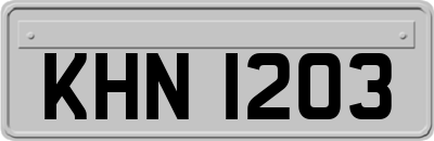 KHN1203