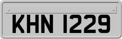 KHN1229