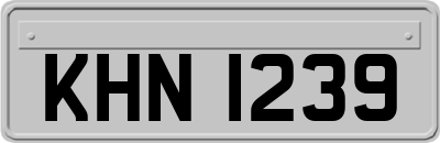 KHN1239