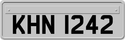 KHN1242