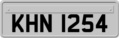 KHN1254
