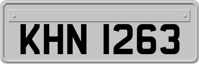 KHN1263