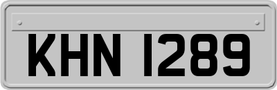 KHN1289