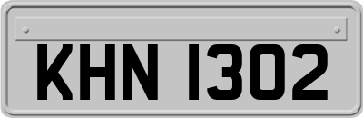 KHN1302