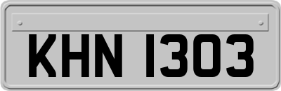 KHN1303