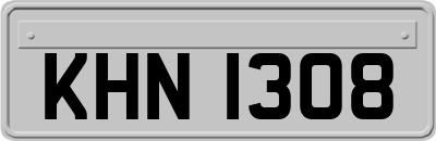 KHN1308