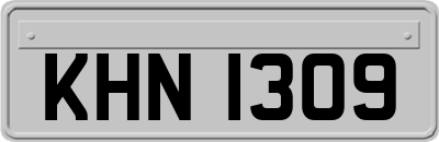 KHN1309